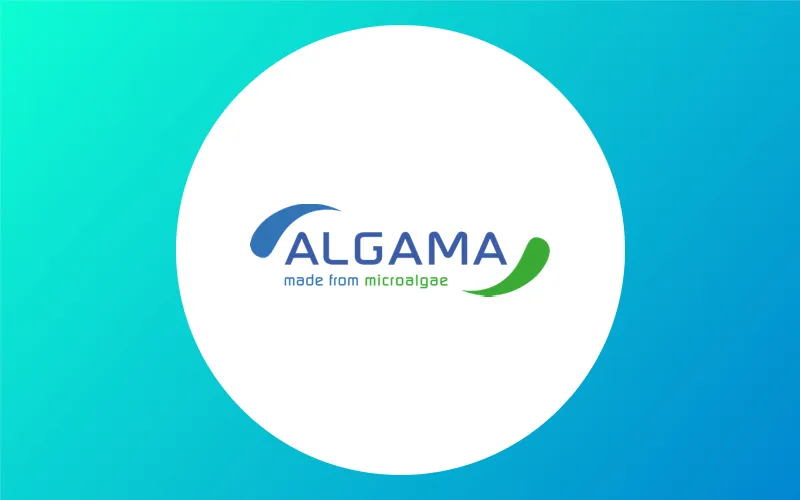 Algama : levée de fonds de 4 millions d’euros