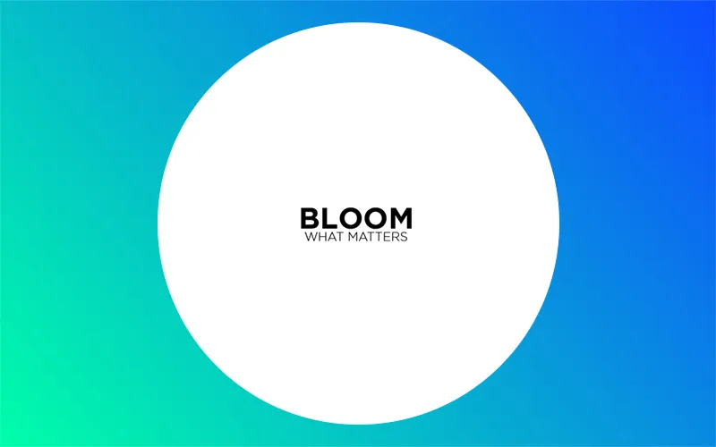 Bloom Social Analytics Actualité