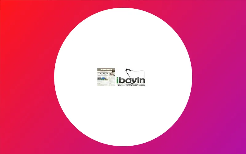Ibovin.Com Actualité