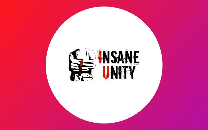 Insane Unity Actualité
