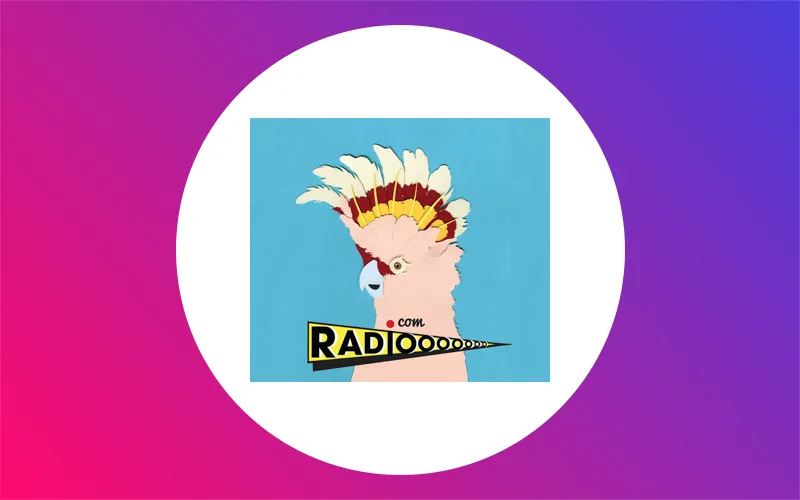 Radiooooo Actualité