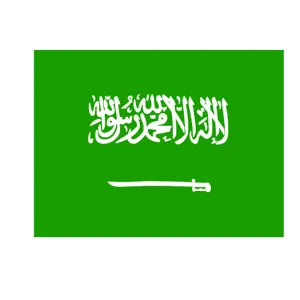 Startup Arabie Saoudite Actualité
