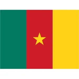 Startup Cameroun Actualité