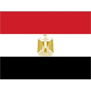 Startup Egypte Actualité