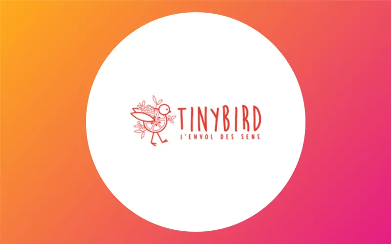 Tinybird Actualité