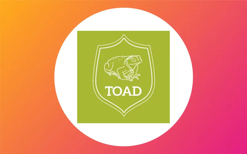 Toad Actualité