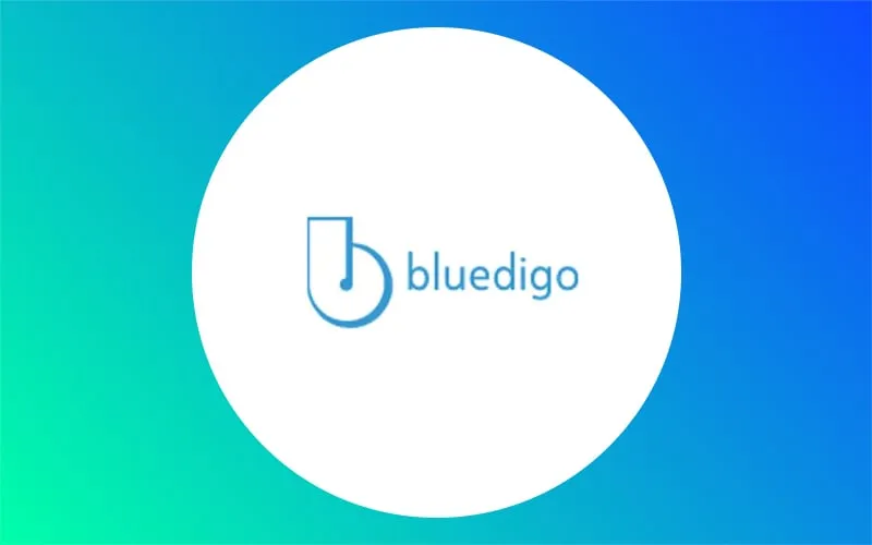 Bluedigo Actualité
