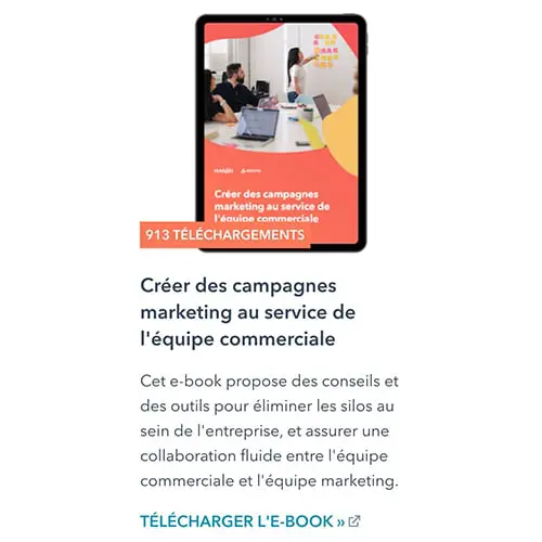 livre blanc comment creer des campagnes marketing au service de lequipe commerciale livre blanc comment creer des campagnes marketing au service de lequipe commerciale