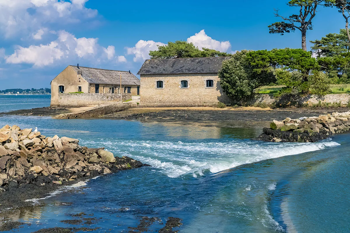 location saisonniere dans le morbihan dun marche damateurs a une filiere professionnelle 3 location saisonniere dans le morbihan dun marche damateurs a une filiere professionnelle 3